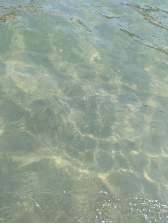 Strand Hotel Akti Coast Club Marmari Kos