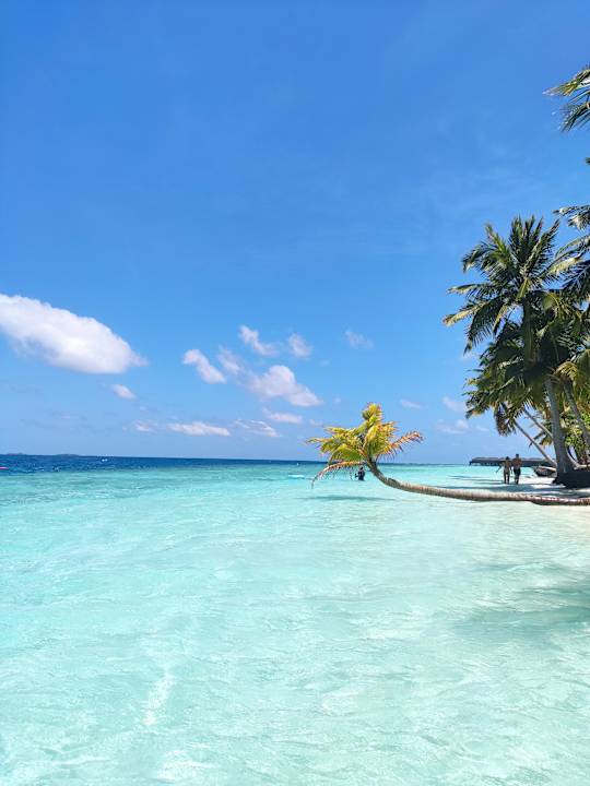 Strand Vilamendhoo Island Resort & Spa