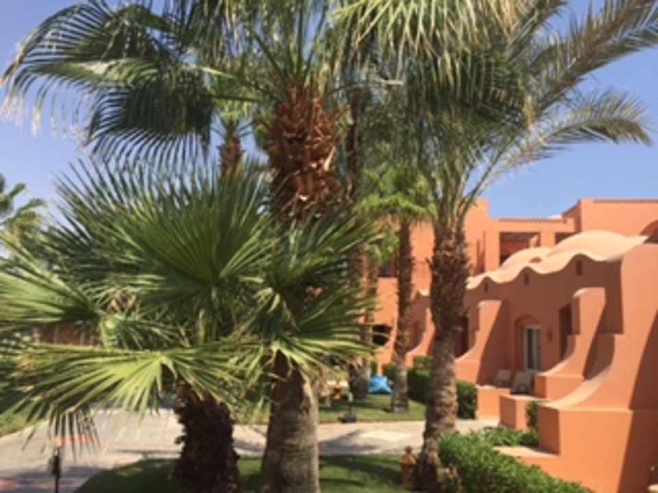 Gartenanlage Jaz Makadi Oasis Resort