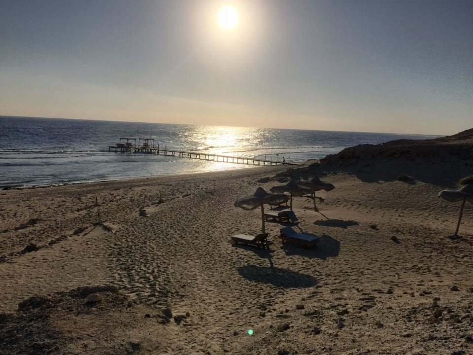 Blick auf den Jetty (Steg) The Oasis Dive Resort