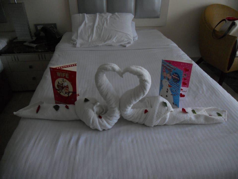 Beautiful swans on the bed Tropitel Sahl Hasheesh