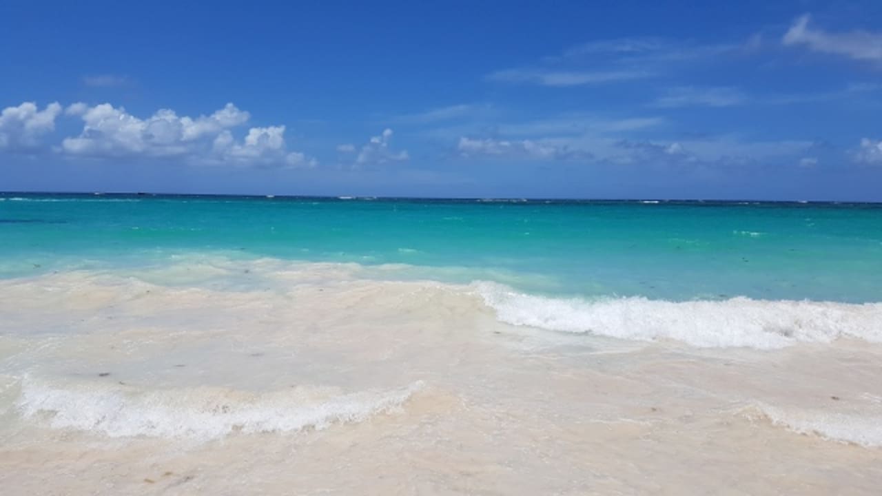 Traumhaft! Hotel Riu Palace Punta Cana