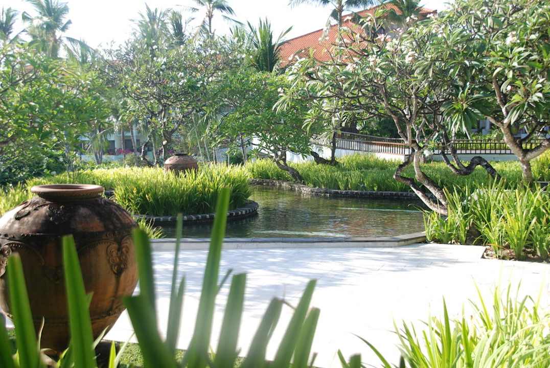 Garten vor der Lobby The Laguna A Luxury Collection Resort & Spa