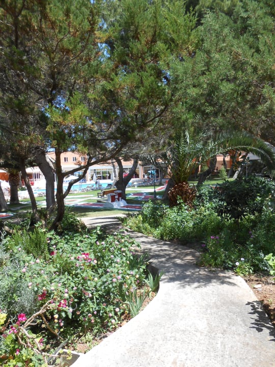 Ausblick von der Terrasse Hotel Xaloc Playa