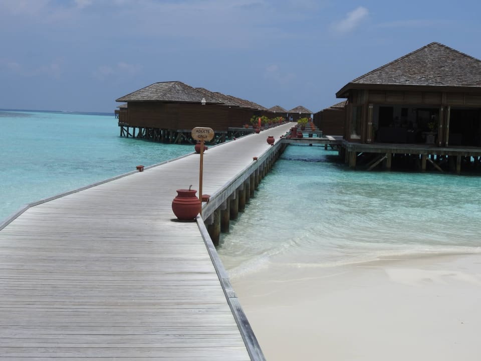 Steg zu den Wasservillen Vilamendhoo Island Resort & Spa