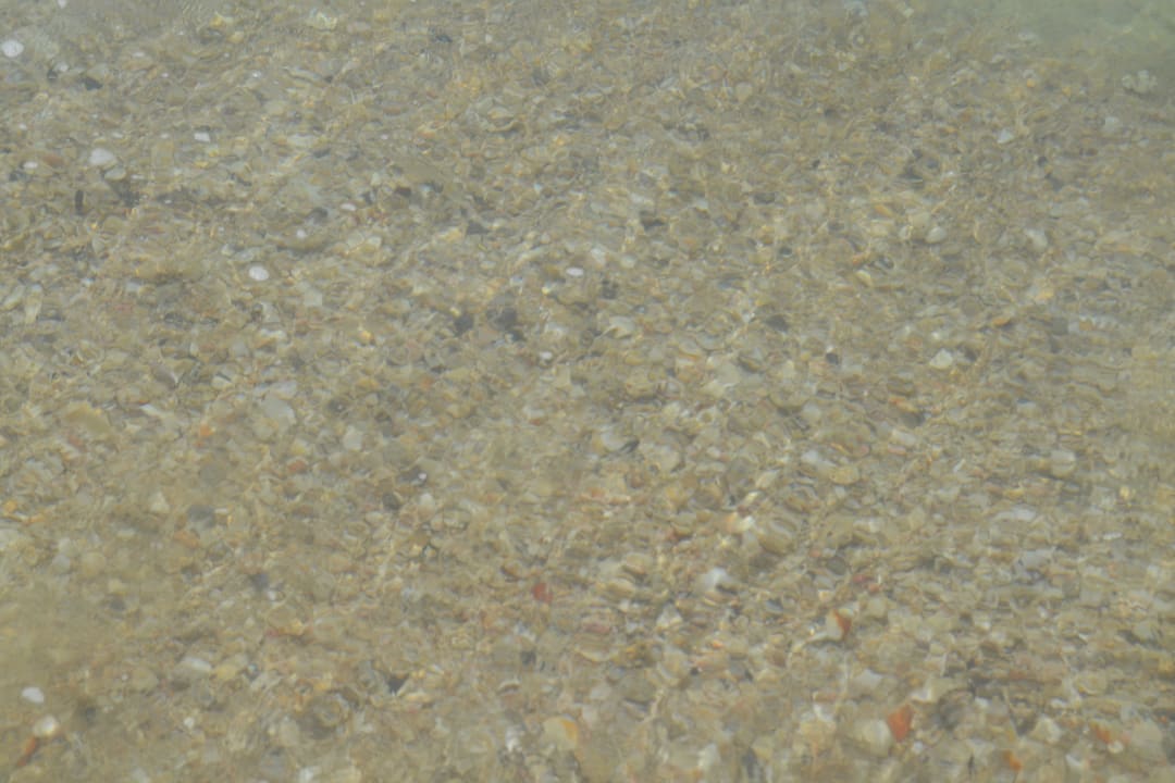 Klares Wasser Rixos Al Mairid Ras Al Khaimah