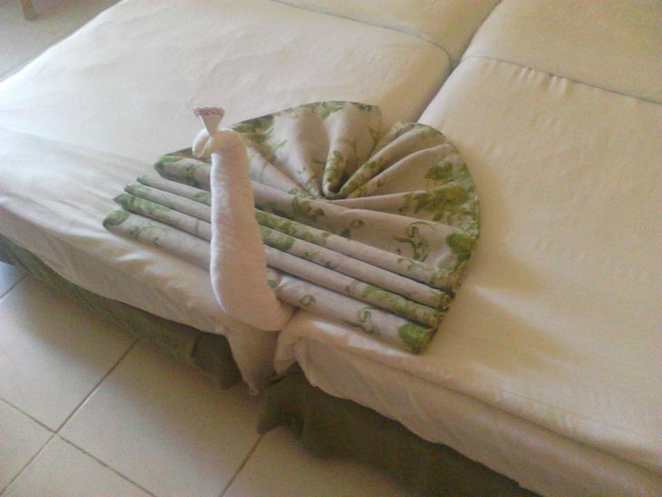 Nett Ghazala Gardens