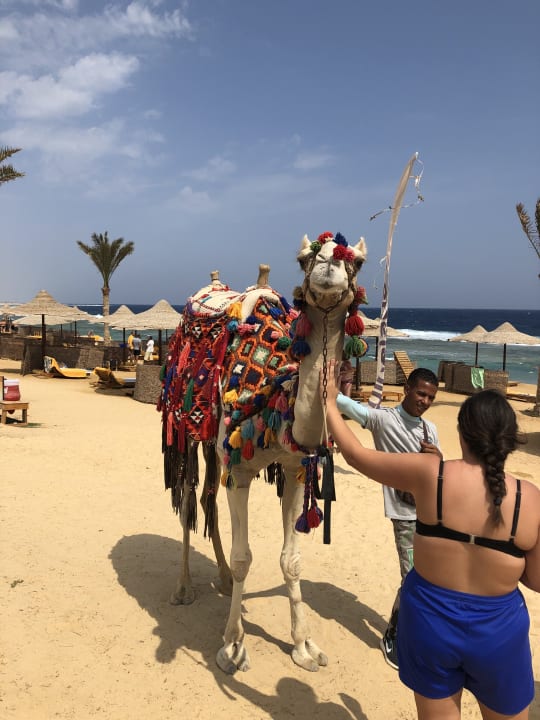 Strand Three Corners Sea Beach Resort