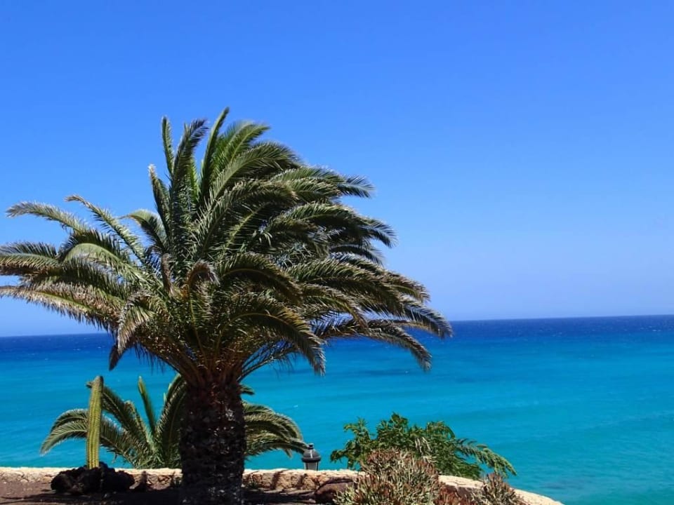Ein Traumblick R2 Pajara Beach