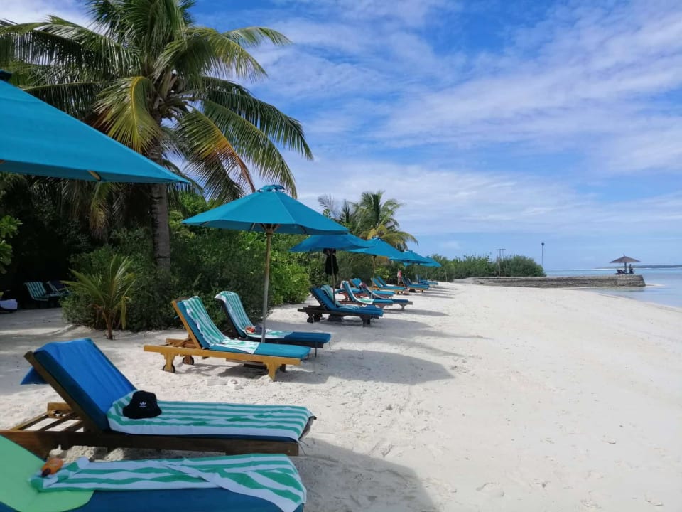 Strand Canareef Resort Maldives