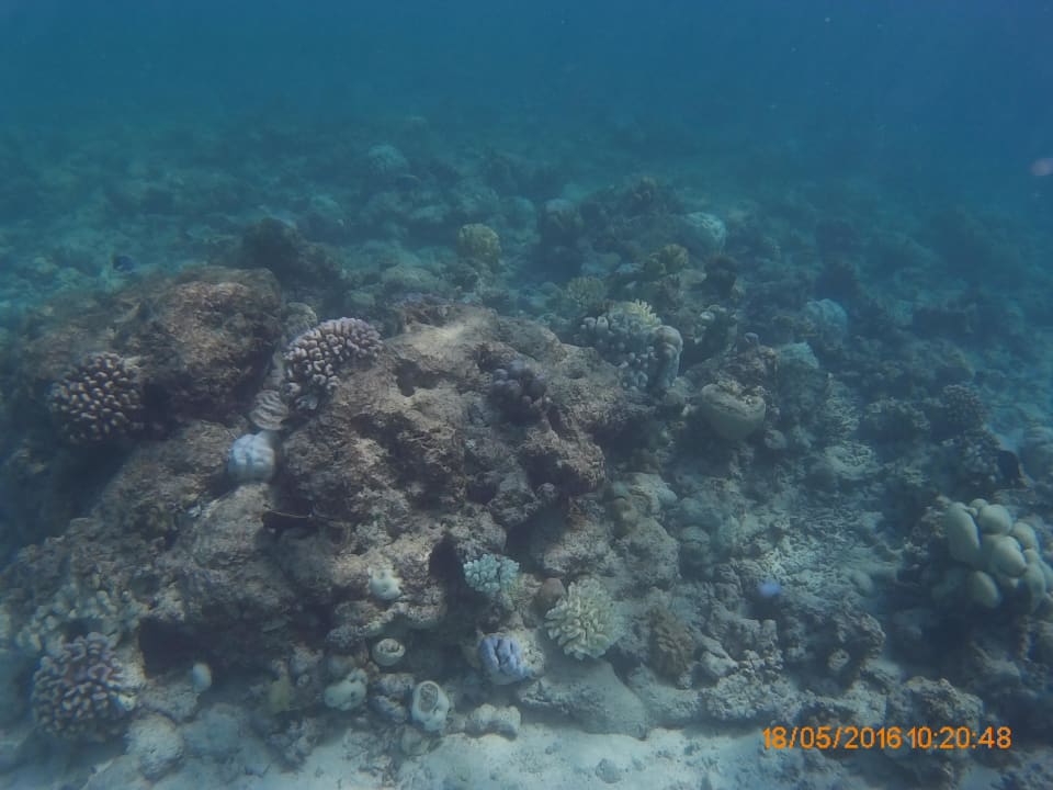 Riff NH Collection Maldives Reethi Resort