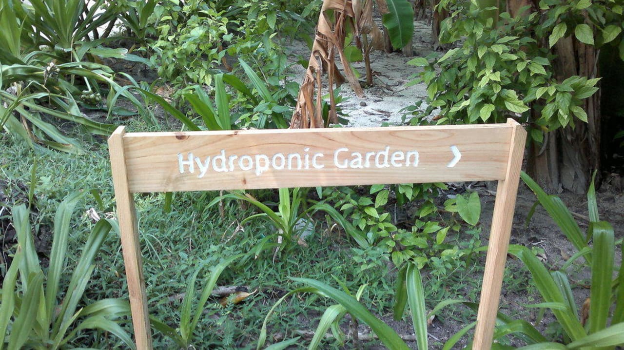 Wegweiser zu den Hydrokulturen Kuramathi Maldives