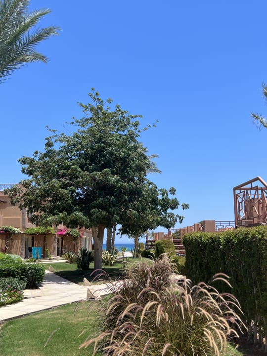 Gartenanlage Shams Prestige Abu Soma-Adults Only