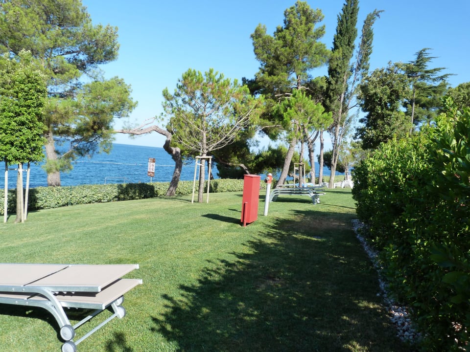 Liegewiese Hotel Parentium Plava Laguna