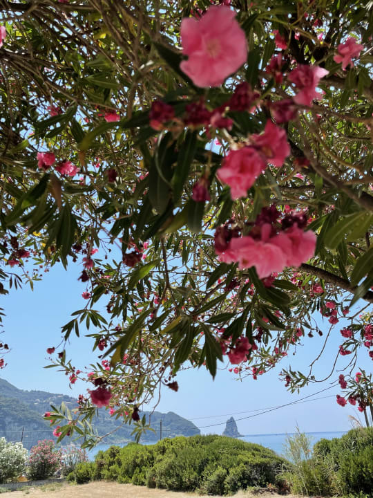 Gastro The Pink Palace Hostel