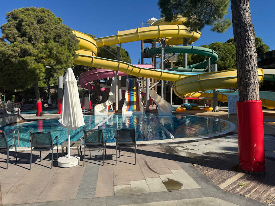 Pool Papillon Ayscha