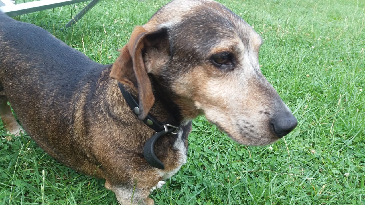 Sonstiges Landhaus Schulte-Göbel ... das Kinderparadies
