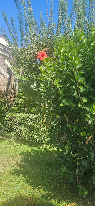 Gartenanlage Bella Resort & Spa