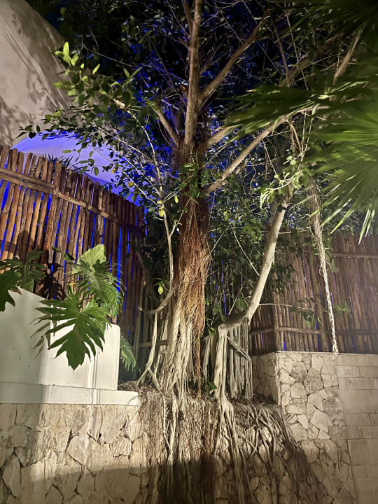 Sonstiges Impression Isla Mujeres by Secrets - Adults Only