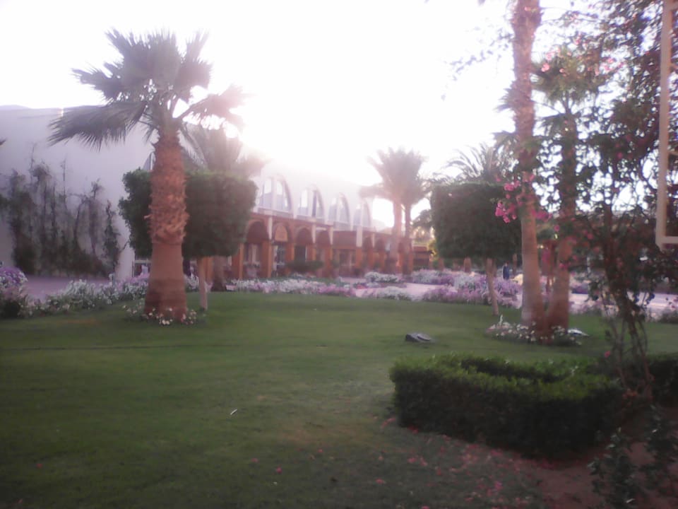 Außenansicht Desert Rose