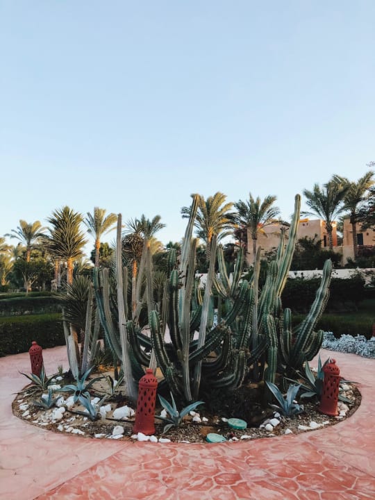 Gartenanlage Dream Lagoon Resort & Aqua Park