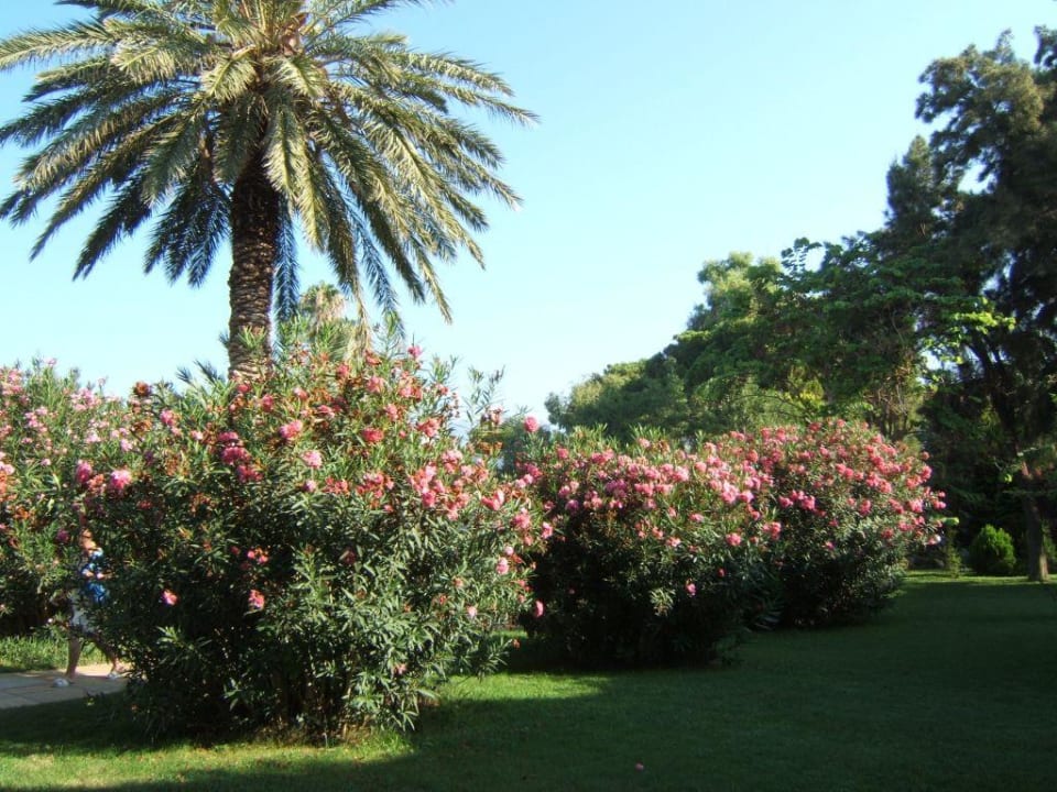 Wunderschöne Außenanlage Labranda Alantur Resort