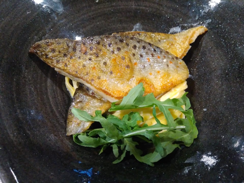 Gastro Hotel Schwengerer