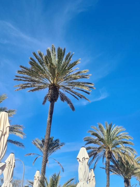 Ausblick HM Tropical