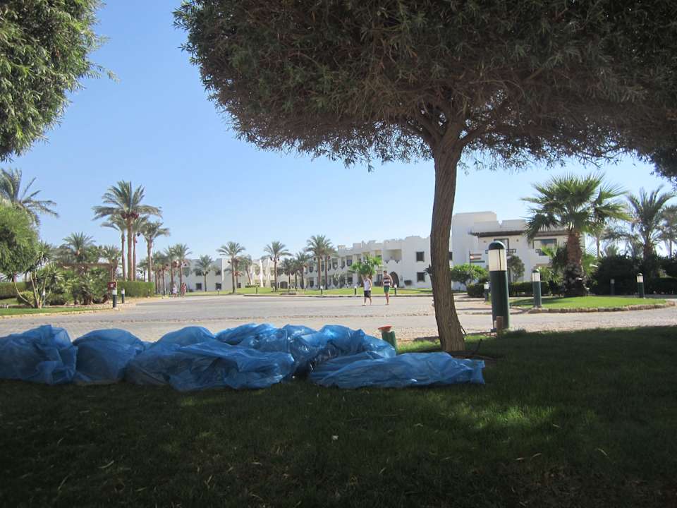Gartenansicht Sharm Plaza
