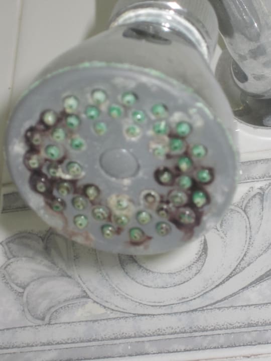 Duschkopf Quality Hotel Nova Domus