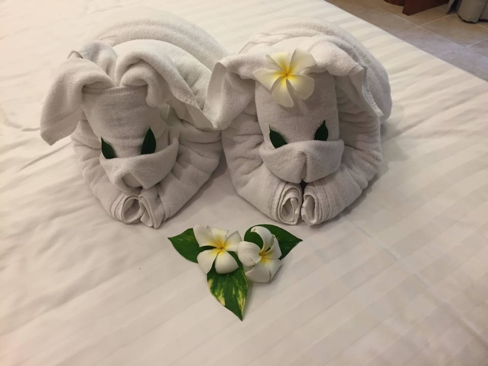 Handtuchfiguren Panviman Resort Koh Phangan