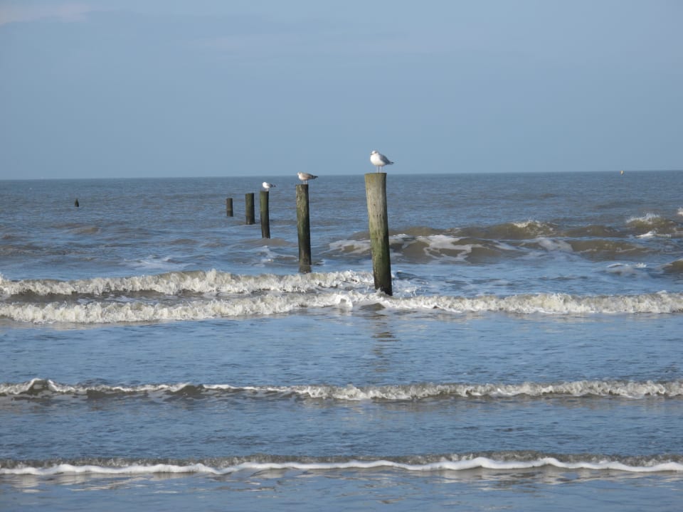 Strandruhe Strandhotel Georgshöhe