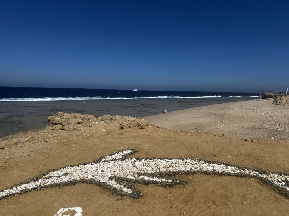 Strand Steigenberger Resort Alaya Marsa Alam - Red Sea - Adults only