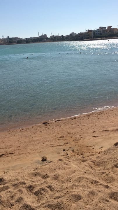 Strand Sea Star Beau Rivage