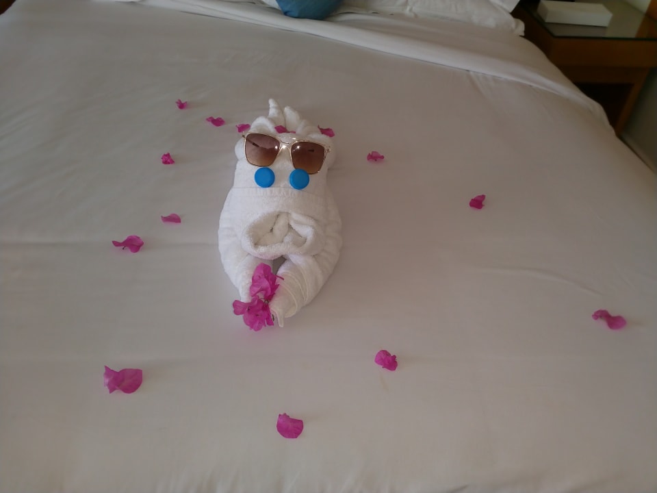 Zimmer Parrotel Beach Resort