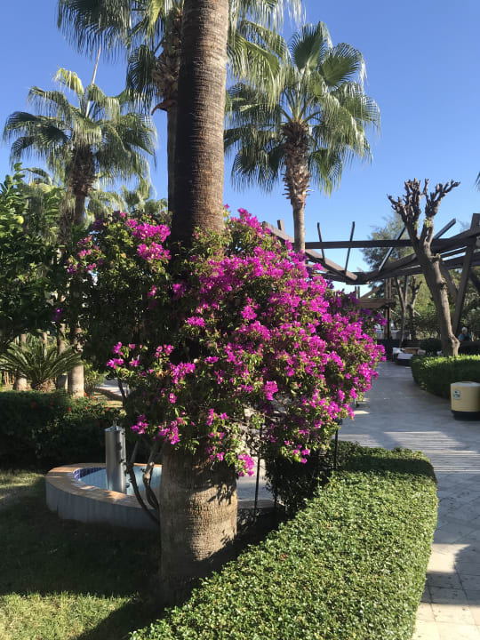 Gartenanlage Aydinbey Kings Palace & Spa