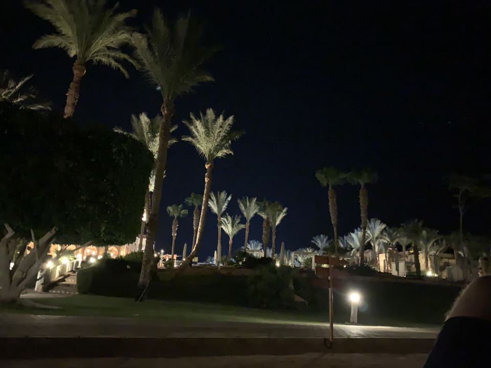 Gartenanlage Steigenberger Coraya Beach - Adults only