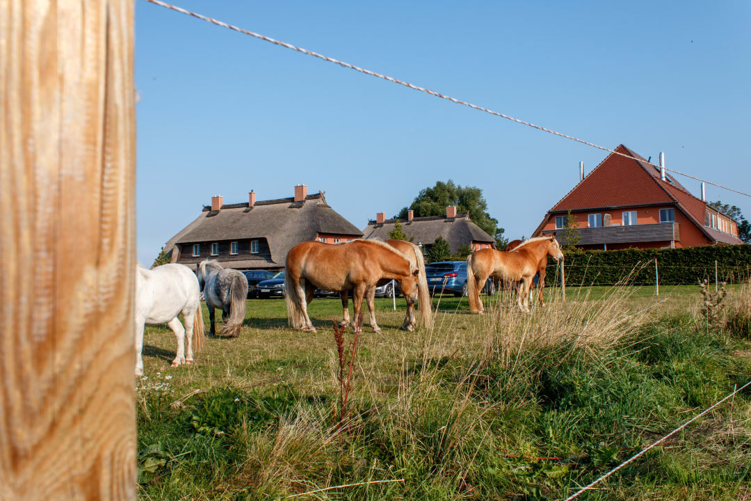 Außenansicht Rügen-Ferienhof