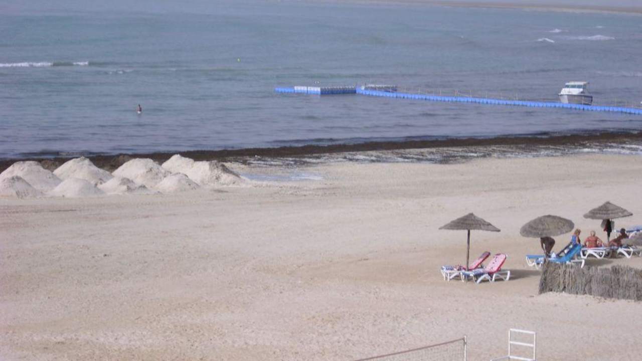 Strand mit Algen Hotel Bravo Djerba