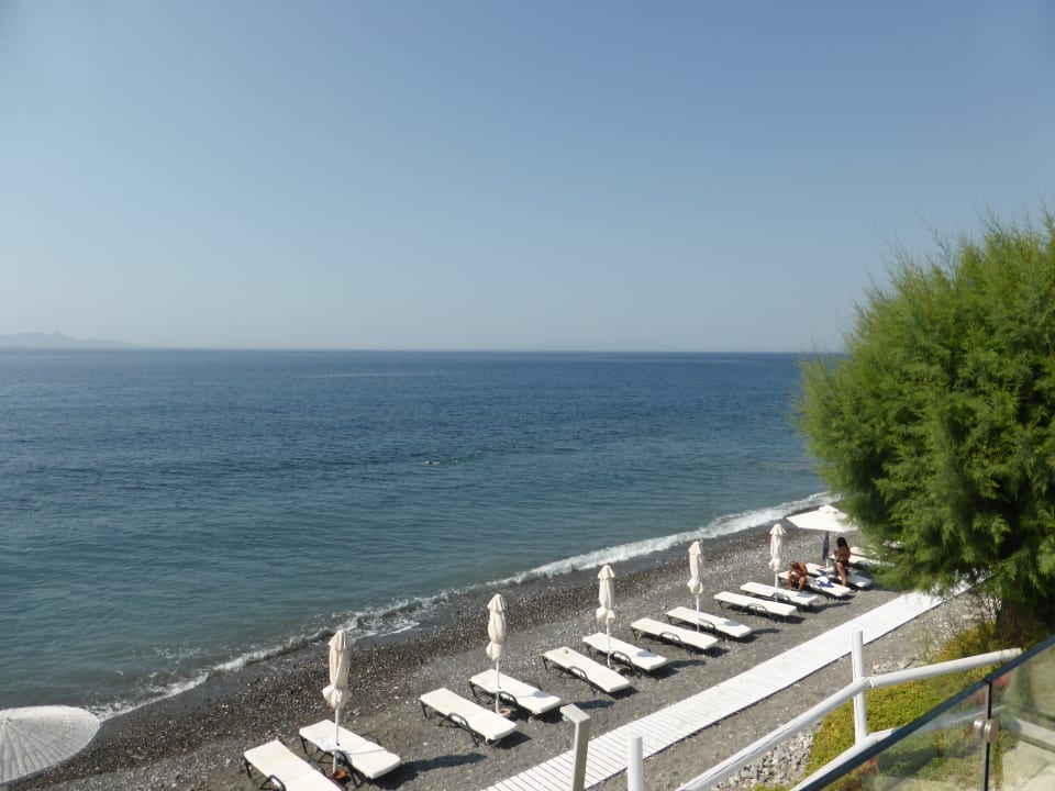 Strand mit Liegen Dimitra Beach Hotel & Suites