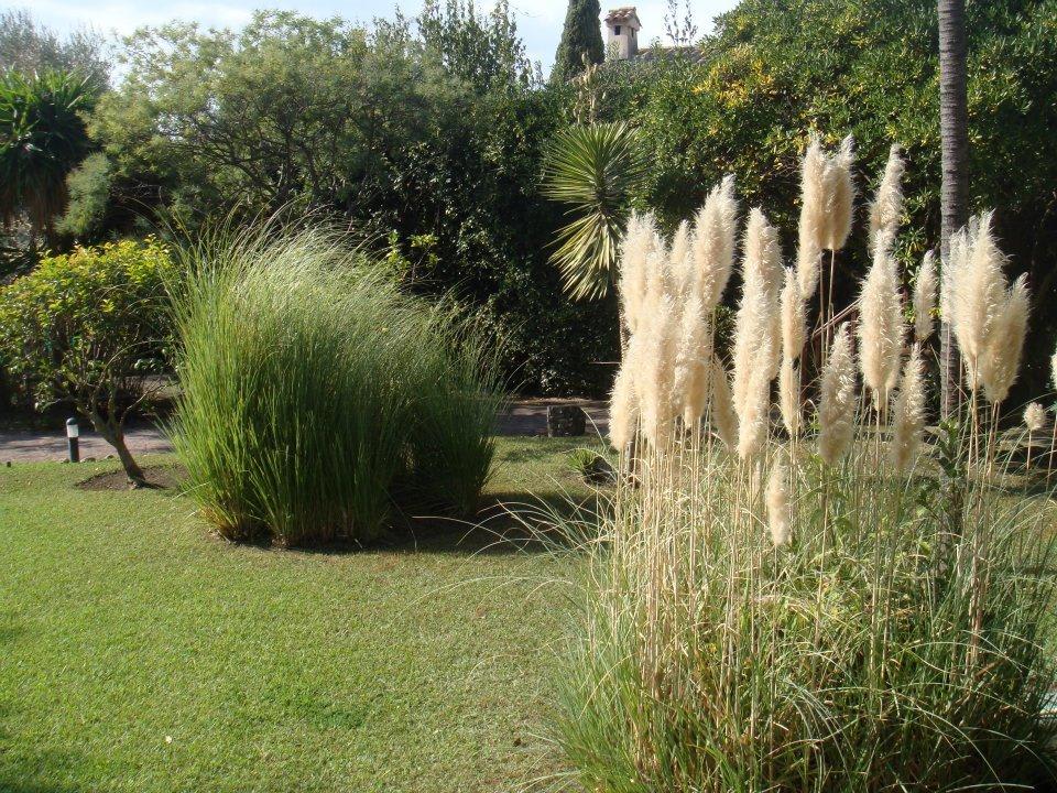 Jardin Park & Suites Hotel Elegance Le Cannet