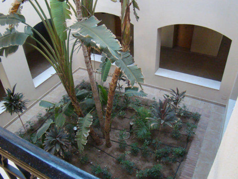 Bepflanzung Hotel JAZ Makadi Star & Spa