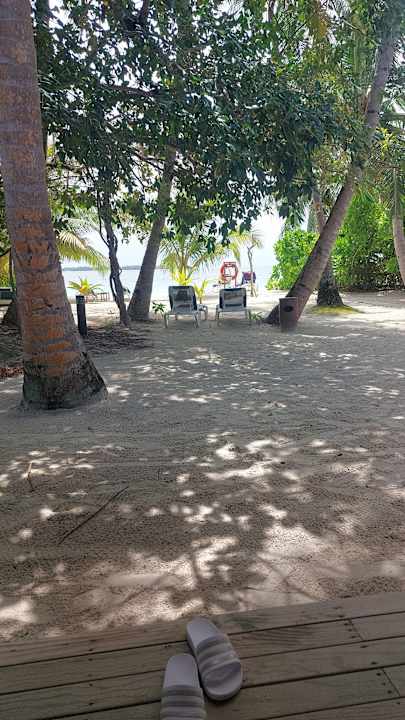 Ausblick Vilamendhoo Island Resort & Spa