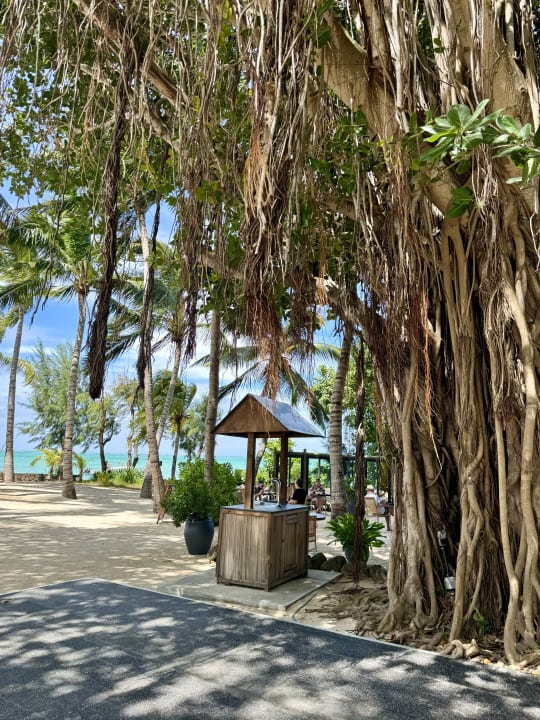 Gastro Lagoon Attitude - Adults only