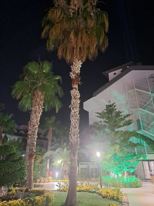Gartenanlage Grand Seker Hotel