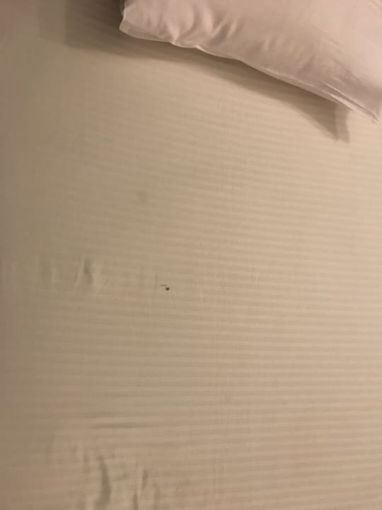 Zimmer Titanic Beach Spa & Aqua Park