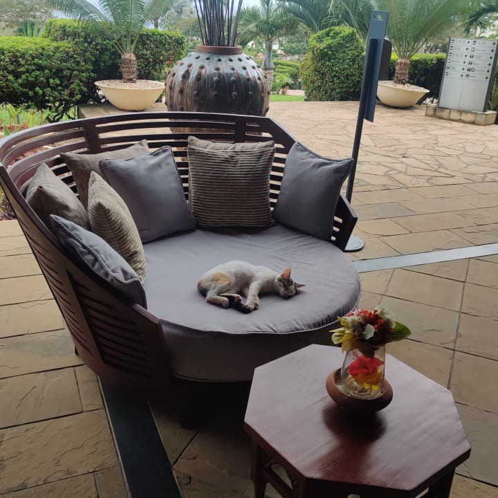 Lobby Hotel Riu Palace Zanzibar