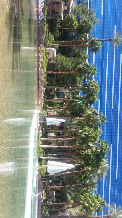 Pool Virgin Hotels Las Vegas, Curio Collection by Hilton