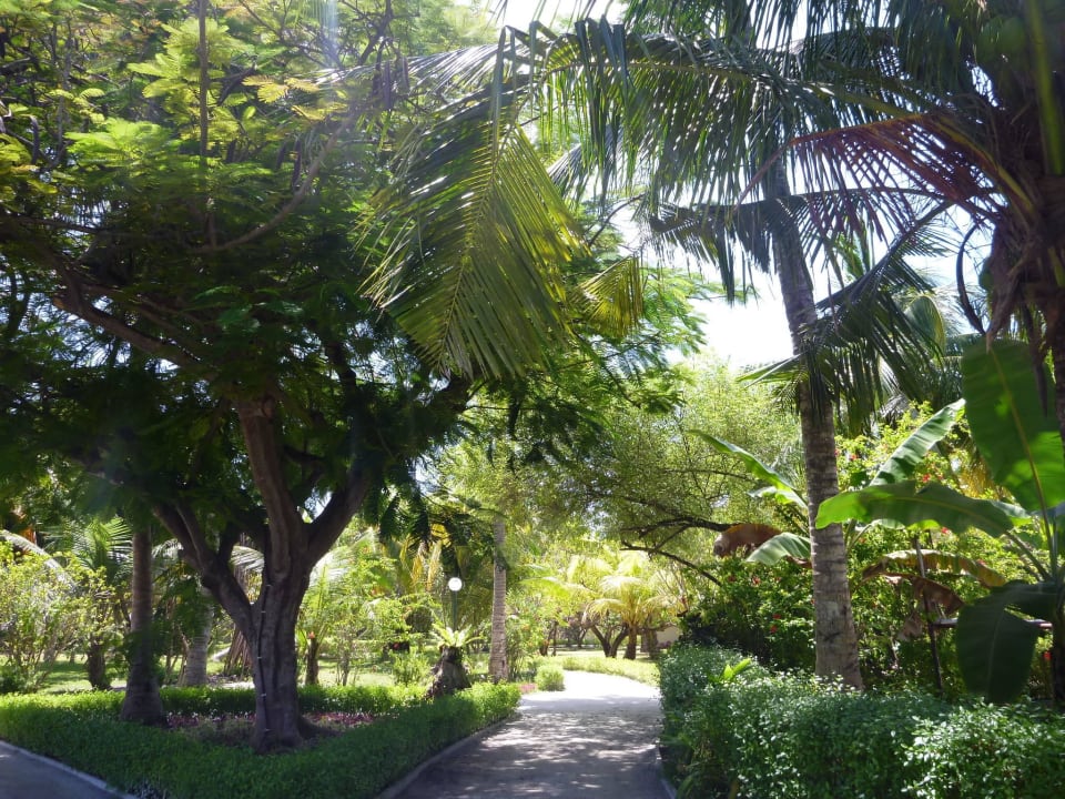 Weg zum Restaurant Adaaran Select Hudhuran Fushi - Premium All Inclusive