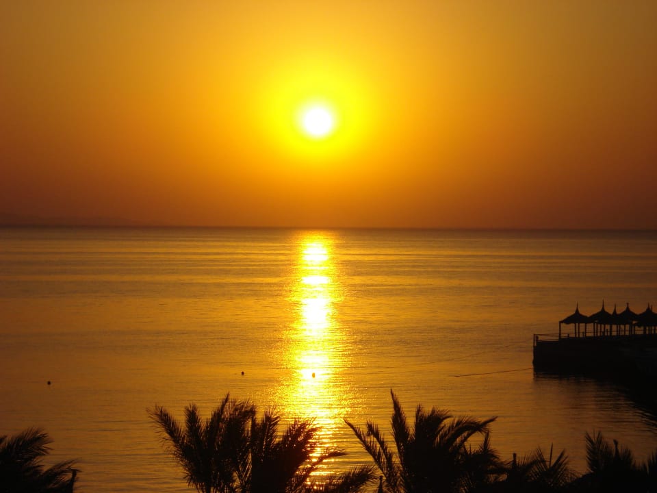 Sonnenaufgang; vom Balkon/Zimmer 3039 Beach Albatros Resort